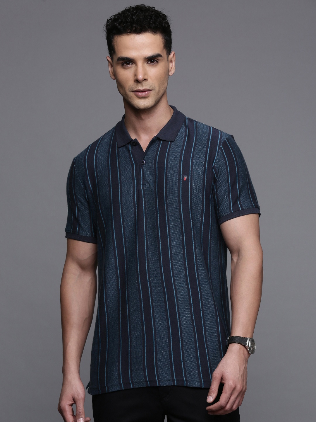 

Louis Philippe Sport Striped Polo Collar Slim Fit T-shirt, Navy blue