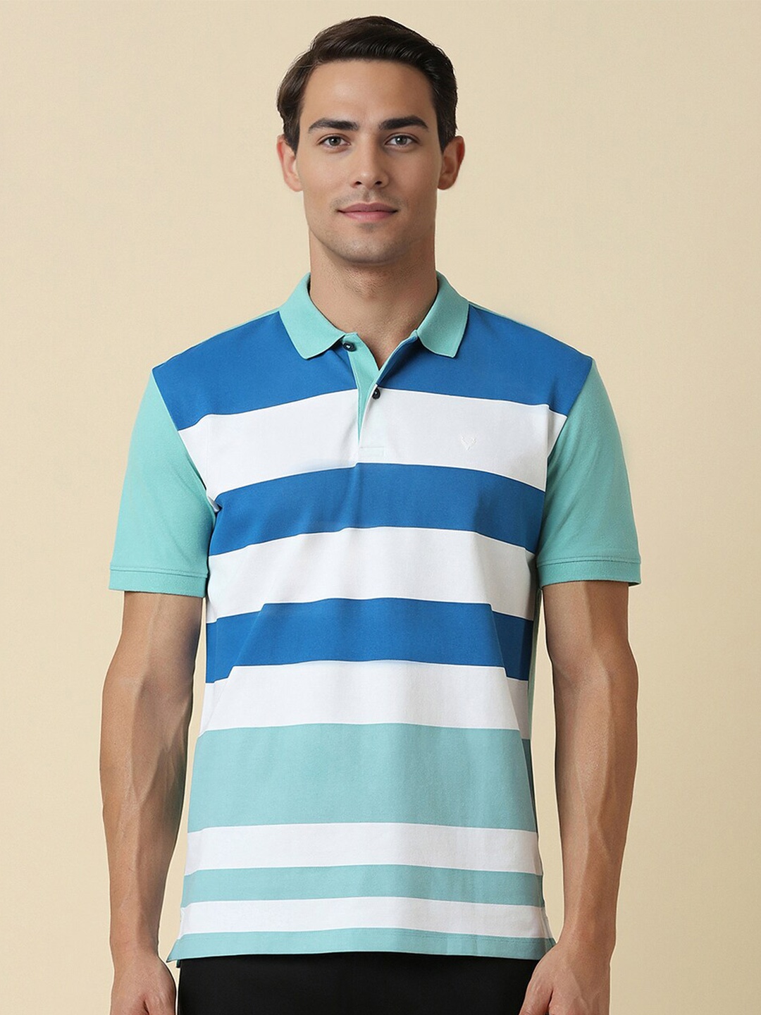

Allen Solly Striped Polo Collar T-shirt, Blue