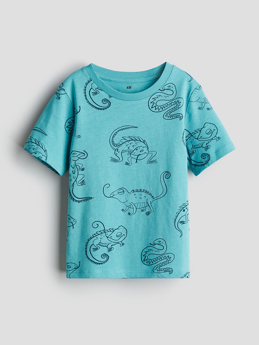 

H&M Boys Pure Cotton Printed T-Shirt, Turquoise blue