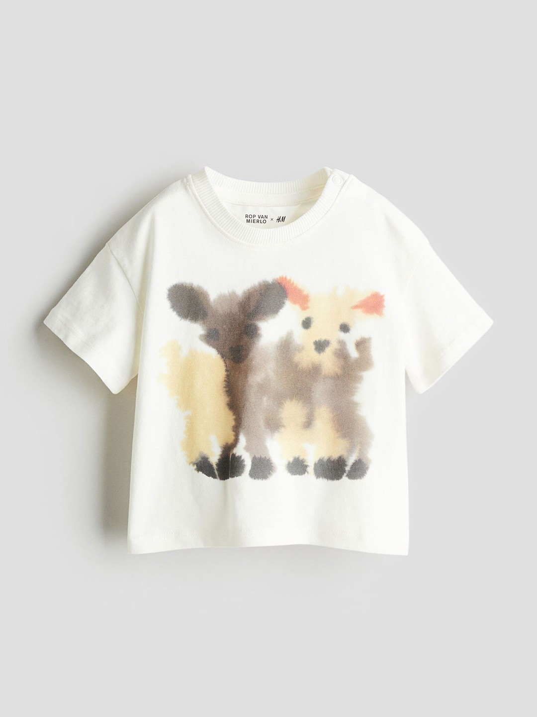 

H&M Boys Pure Cotton Printed T-shirt, White