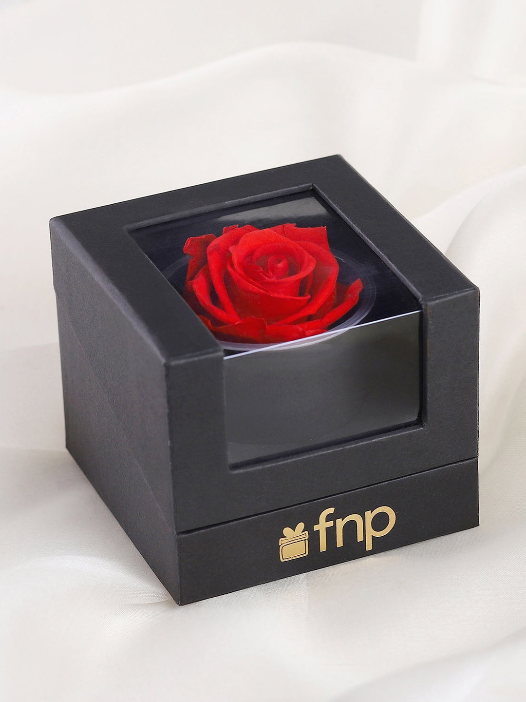 fnp Red Rose Fresh Flowers