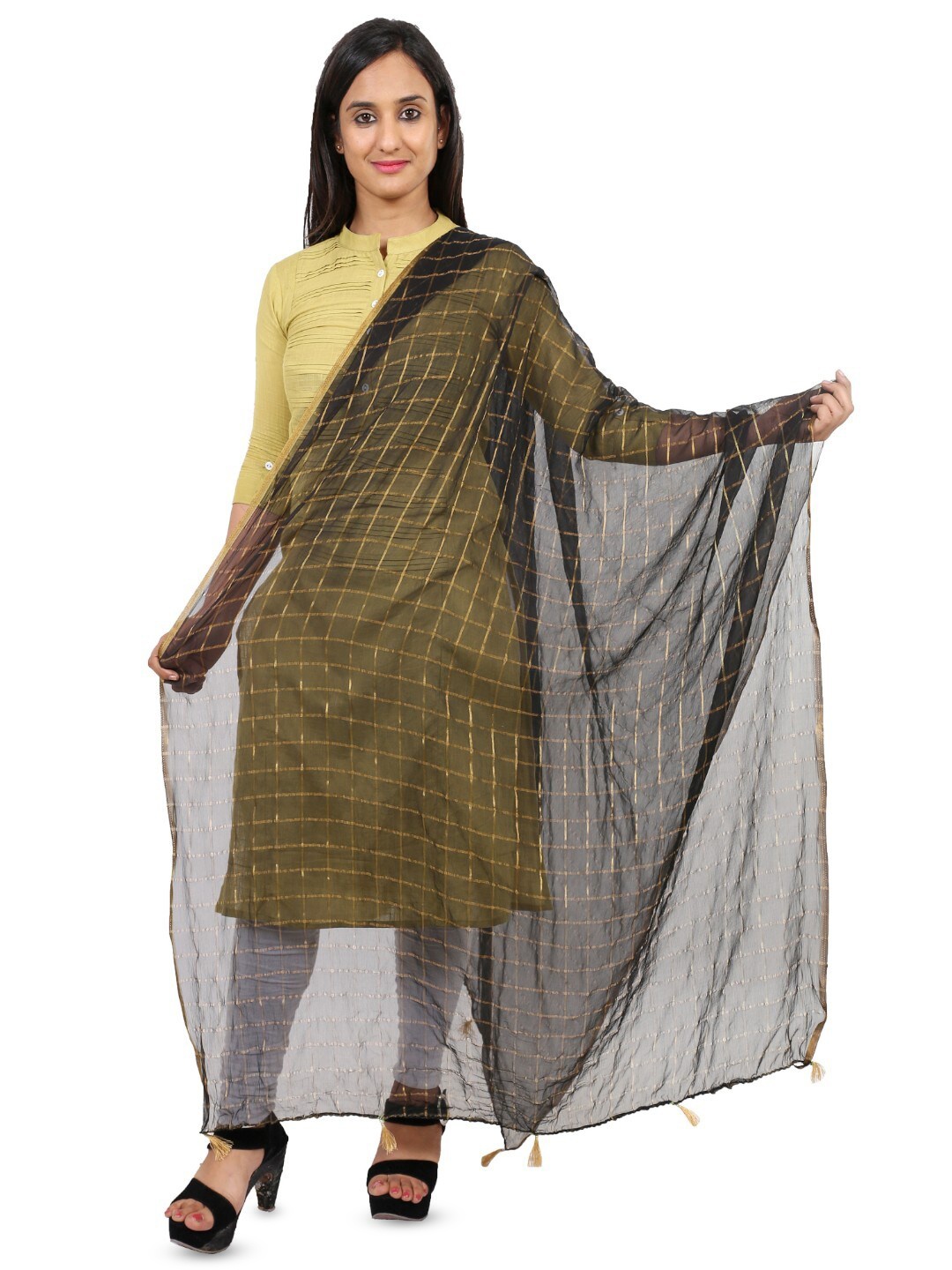 

Alakh Creation Checked Zari Detailed Chiffon Dupatta, Black