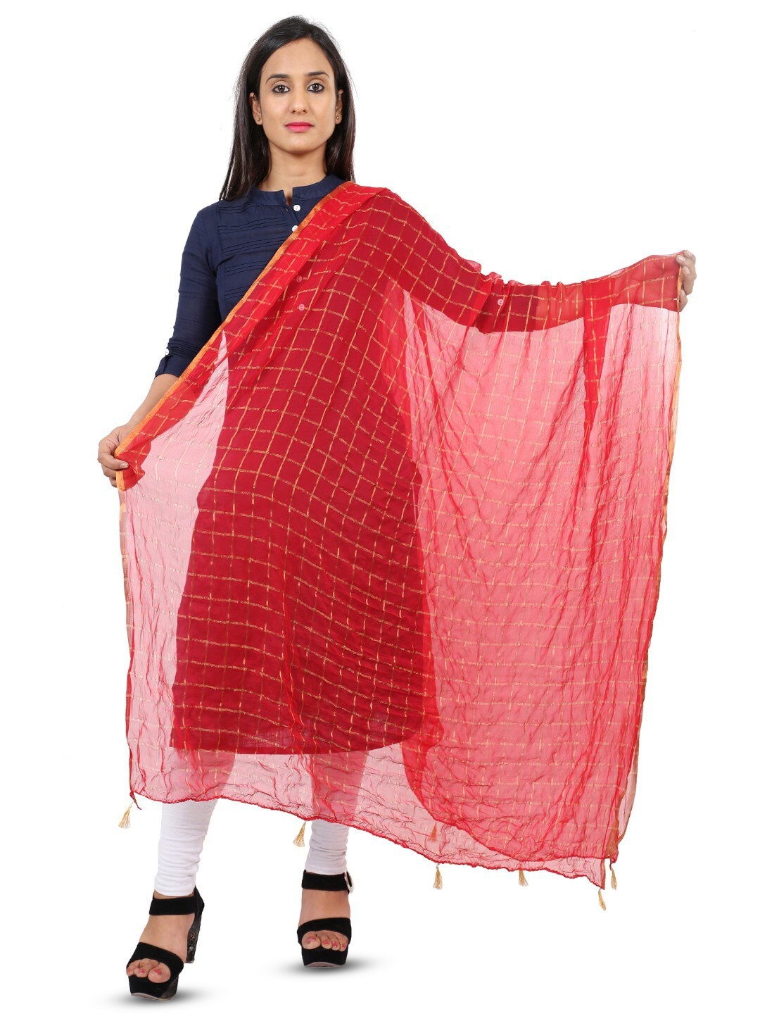 

Alakh Creation Checked Zari Detailed Chiffon Dupatta, Red