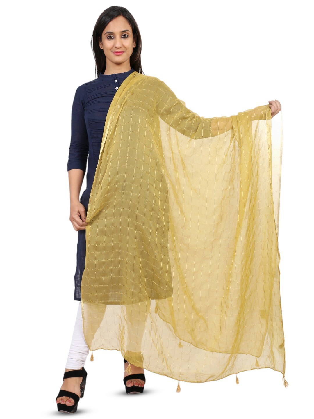 

Alakh Creation Checked Zari Detailed Chiffon Dupatta, Beige