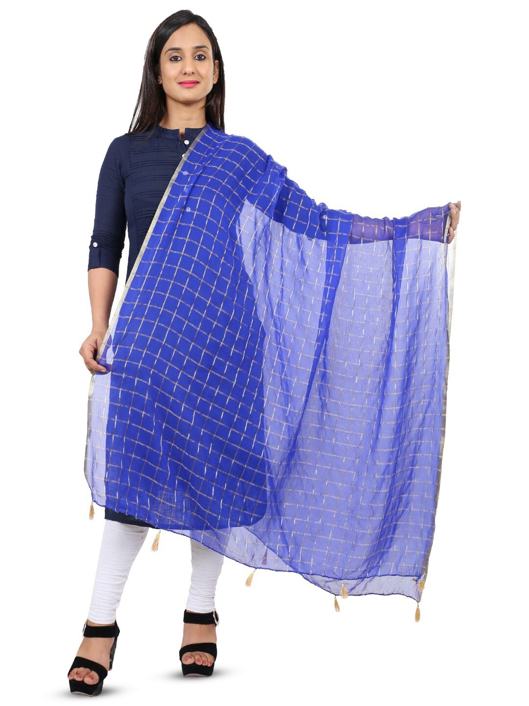 

Alakh Creation Checked Zari Detailed Chiffon Dupatta, Blue