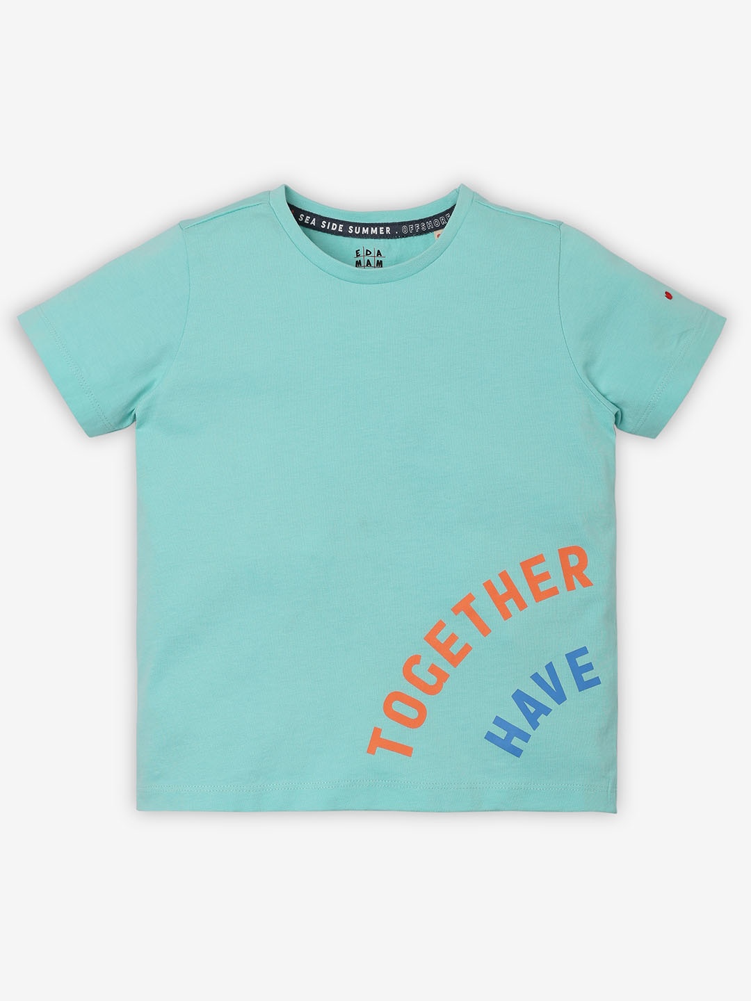 Ed-a-Mamma Boys Typography V-Neck Bio Finish Applique T-shirt, Green