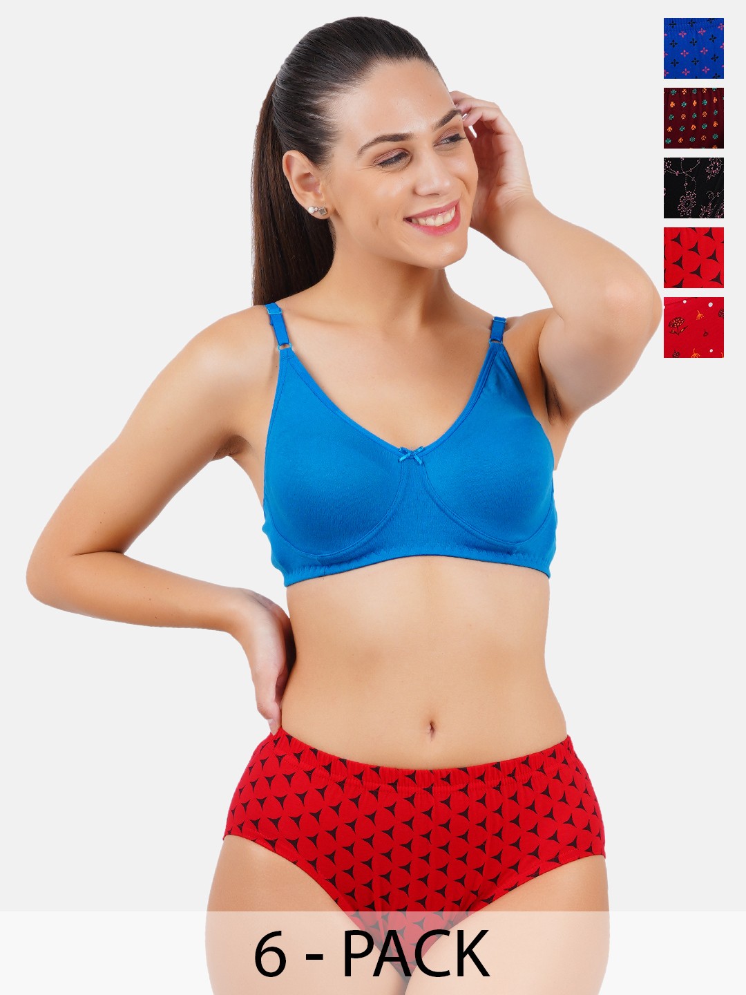 

Ramraj Pack Of 6 Assorted Basic Briefs WomensPantiesOVPrR