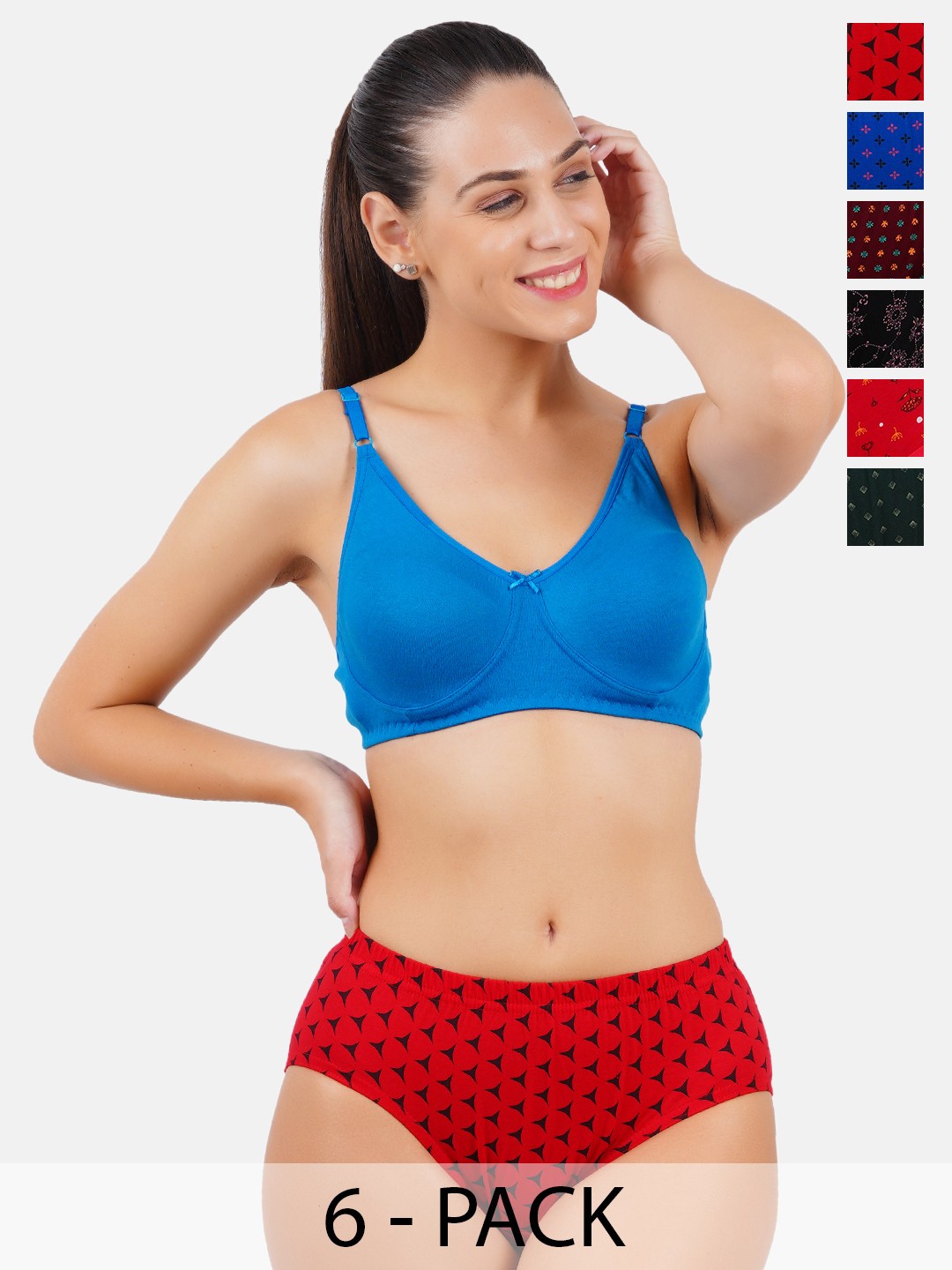 

Ramraj Pack Of 6 Assorted Basic Briefs WomensPantiesOVPrR