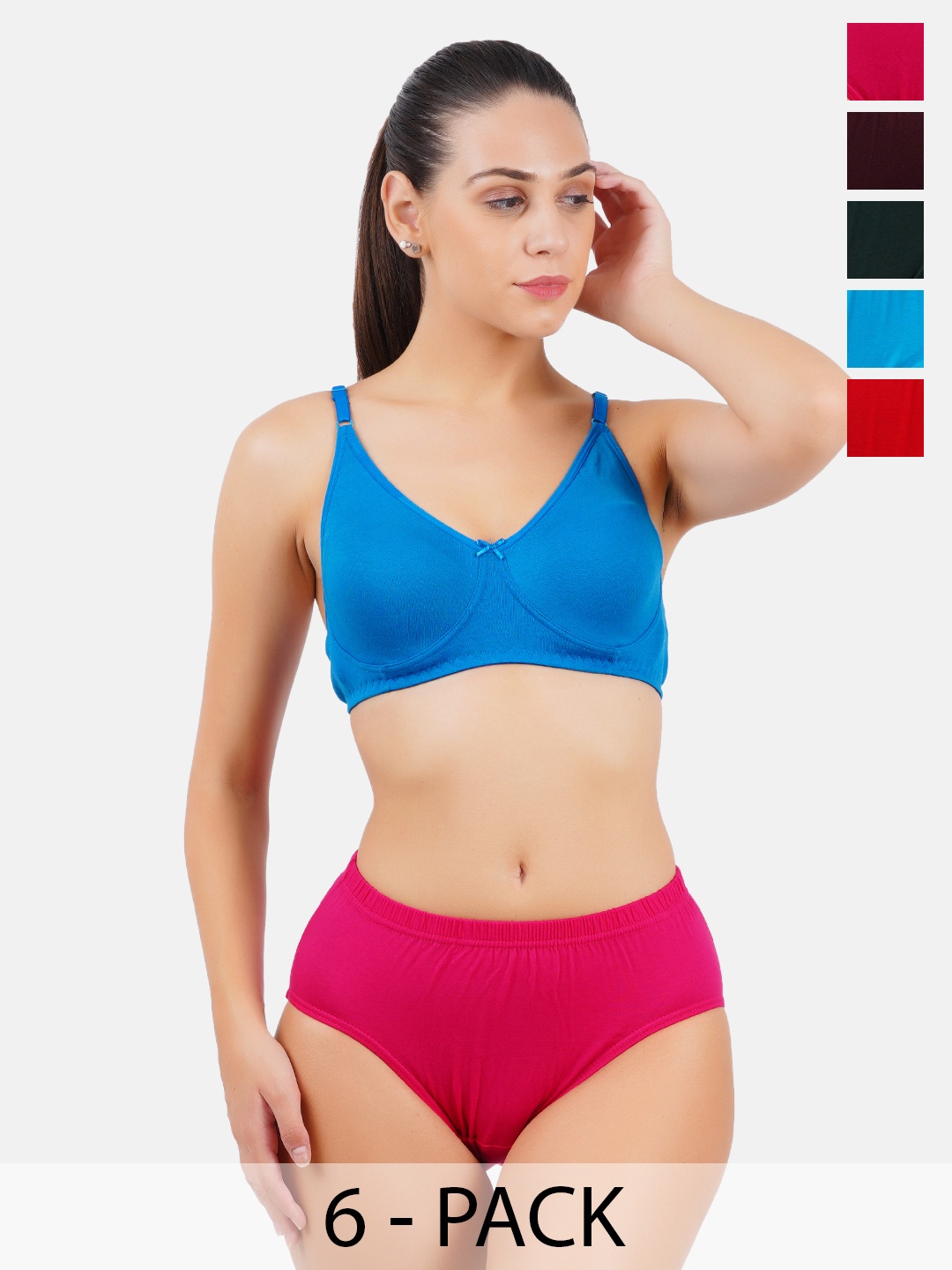 

Ramraj Pack Of 6 Assorted Basic Briefs WomensPantiesFUPLR