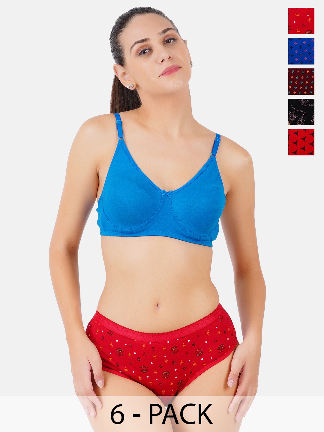 Ramraj Pack Of 6 Assorted Basic Briefs WomensPantiesOVPrR