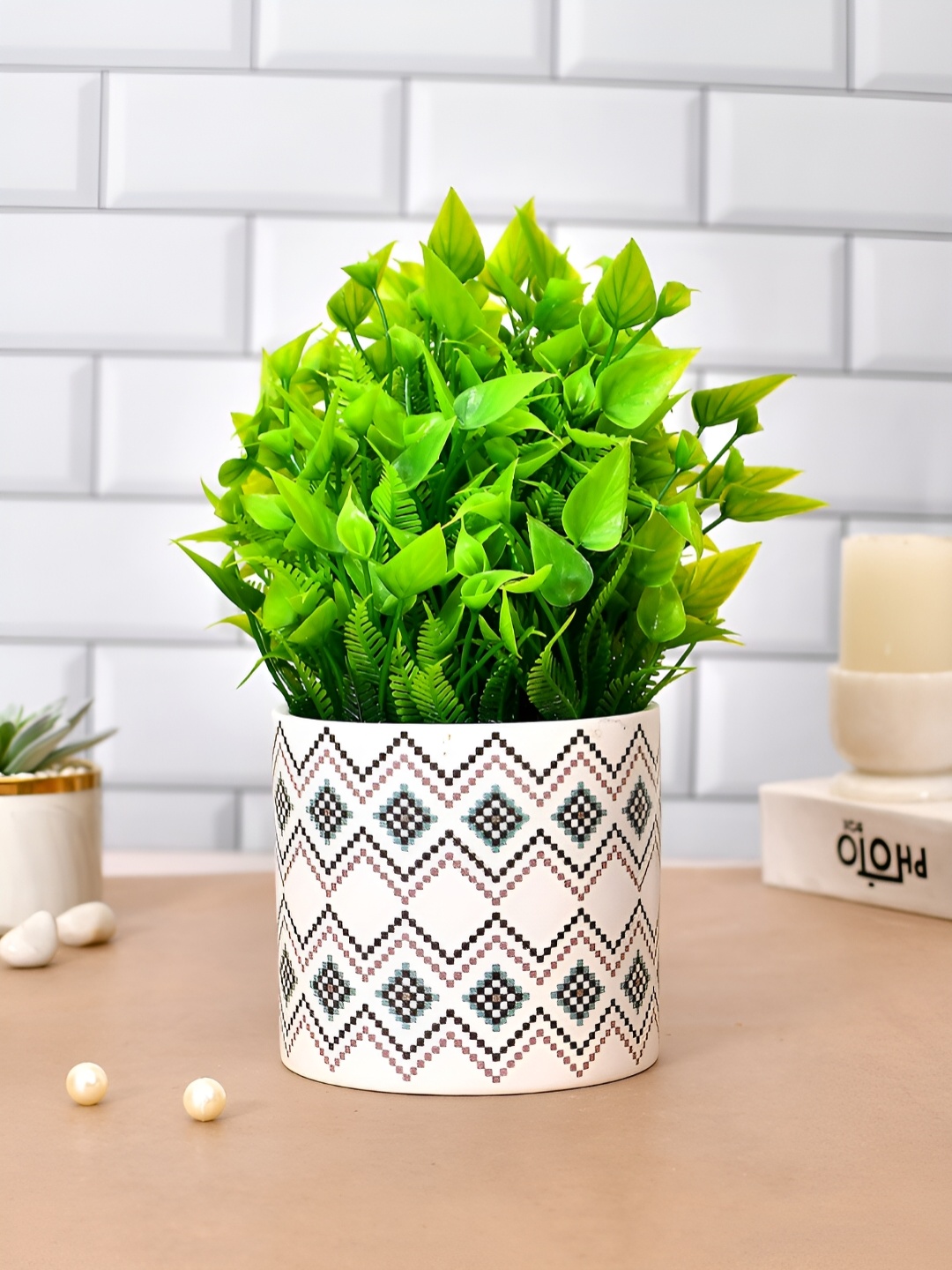 

TAYHAA Black & White Printed Ceramic Planter