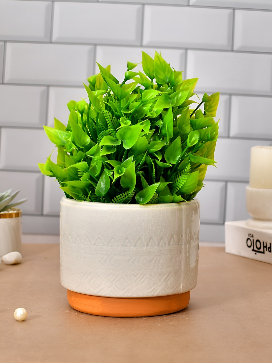 

TAYHAA Cream Oasis Ceramic Planter