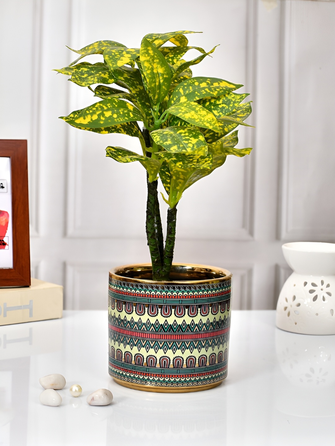 

TAYHAA Green & Red Printed Ceramic Planter