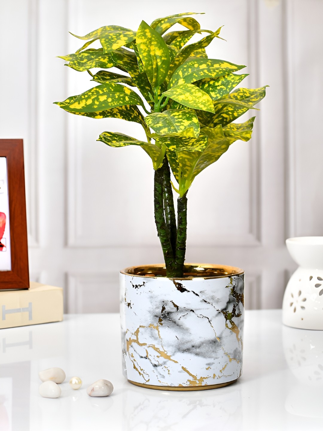 

TAYHAA White & Gold Toned Printed Ceramic Planter
