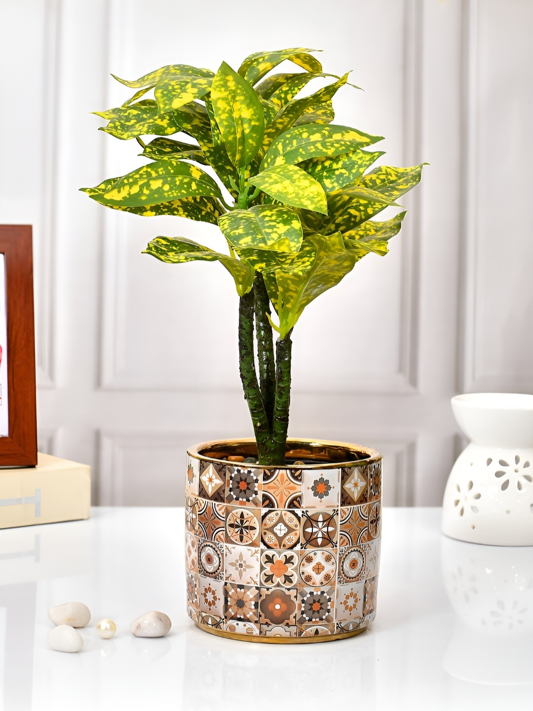 

TAYHAA Brown & Beige Printed Ceramic Planter