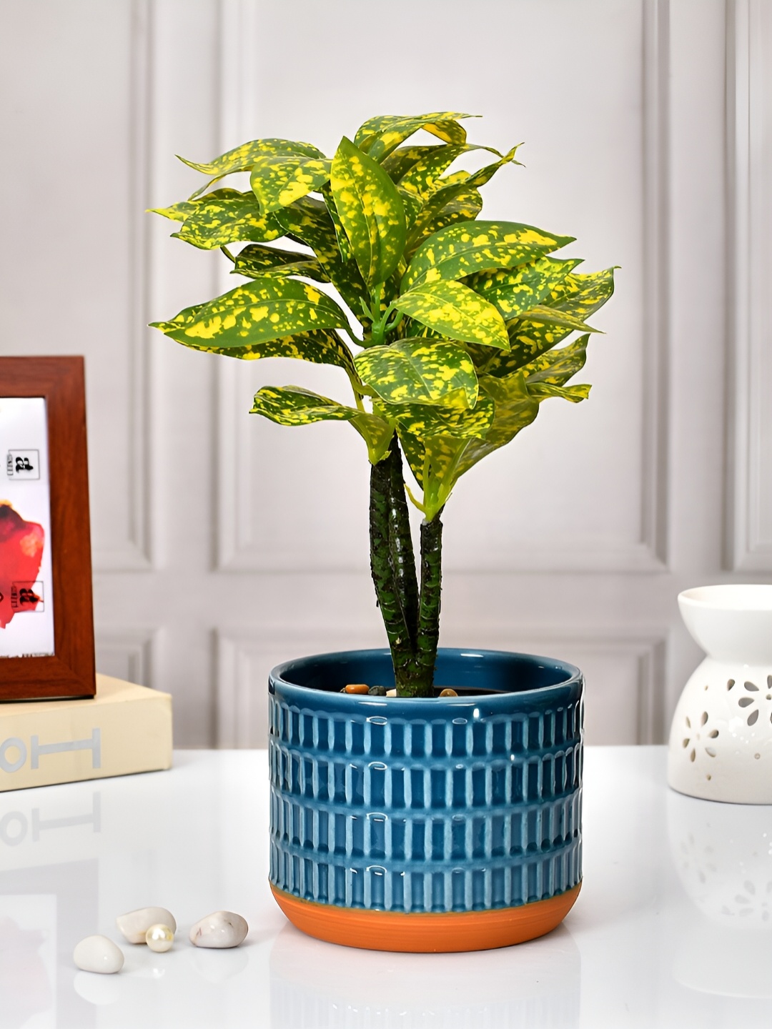 

TAYHAA Blue & Orange Textured Ceramic Planter