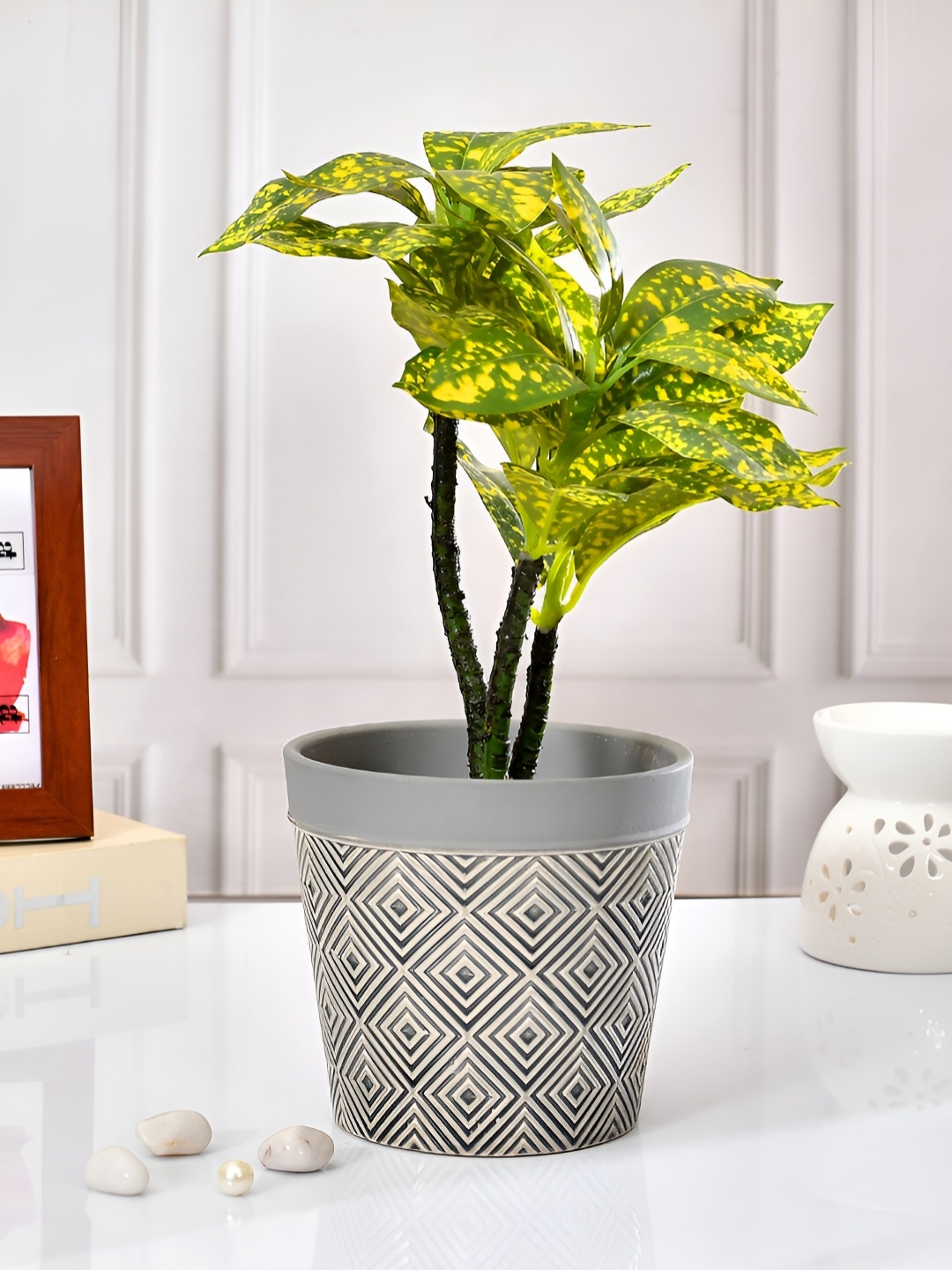 

TAYHAA Grey & Beige Printed Ceramic Planter
