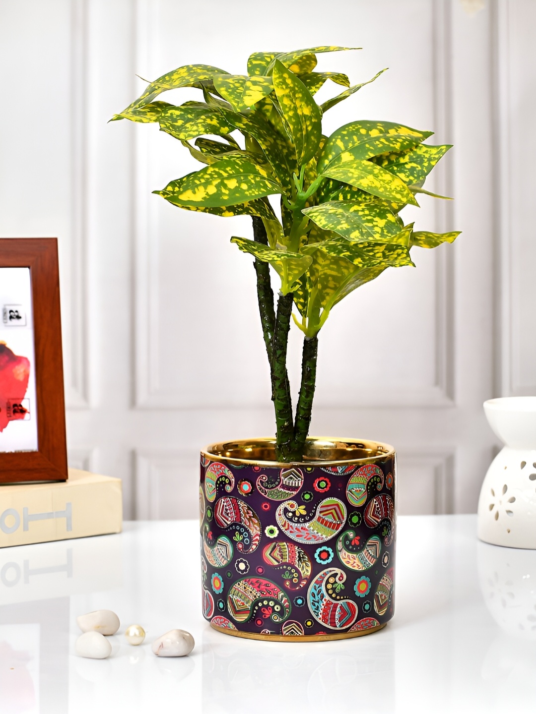 

TAYHAA Red & Green Printed Ceramic Planter
