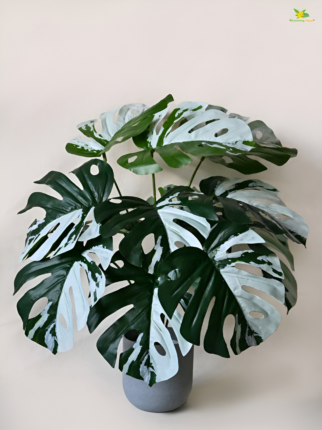 

Blooming Floret Green Monstera Deliciosa Artificial Plant With Pot