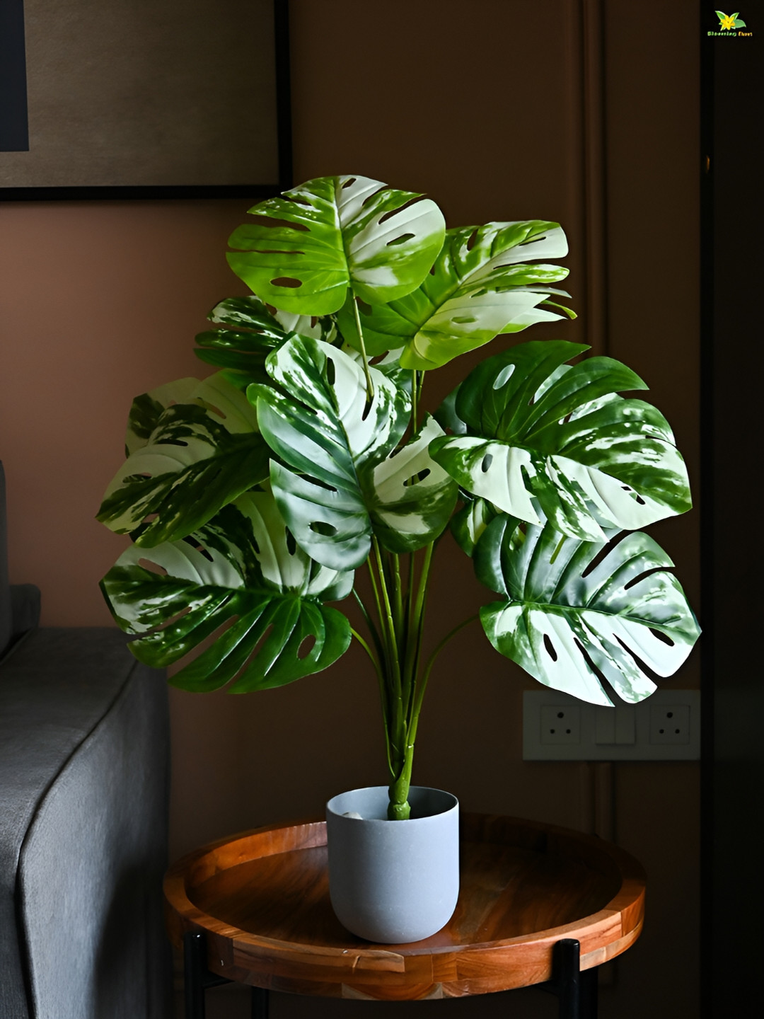 

Blooming Floret Green & White Monstera Deliciosa Artificial Plant With Pot