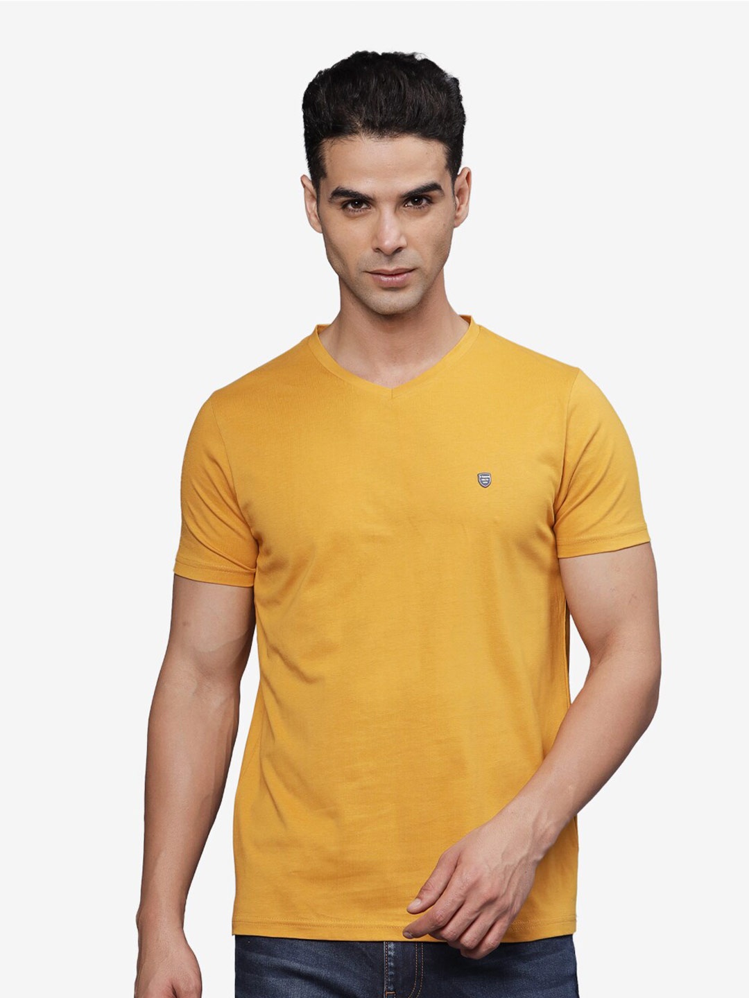 

t-base Men V-Neck T-shirt, Mustard