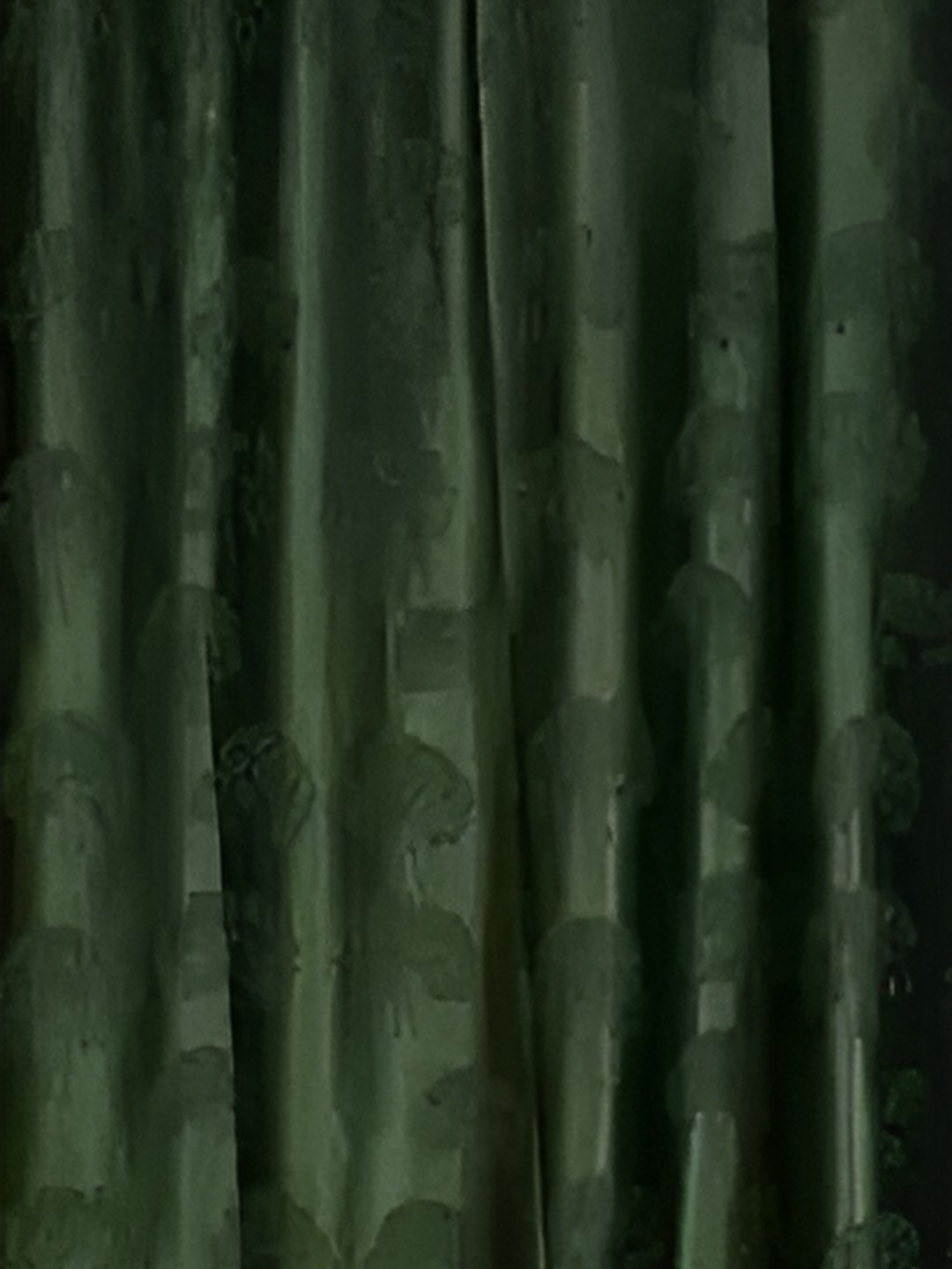 

RIDHAAN Green 2 Pieces Floral Textured Room Darkening Door Curtain