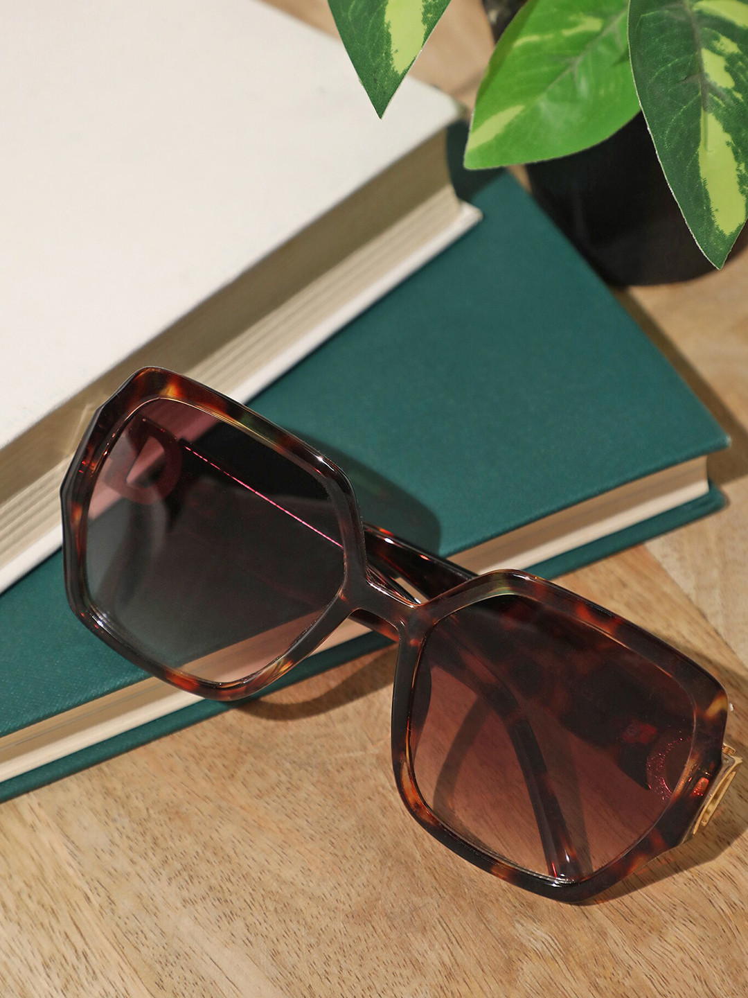 

LULU & SKY Women Full Rim Wayfarer Sunglasses, Brown