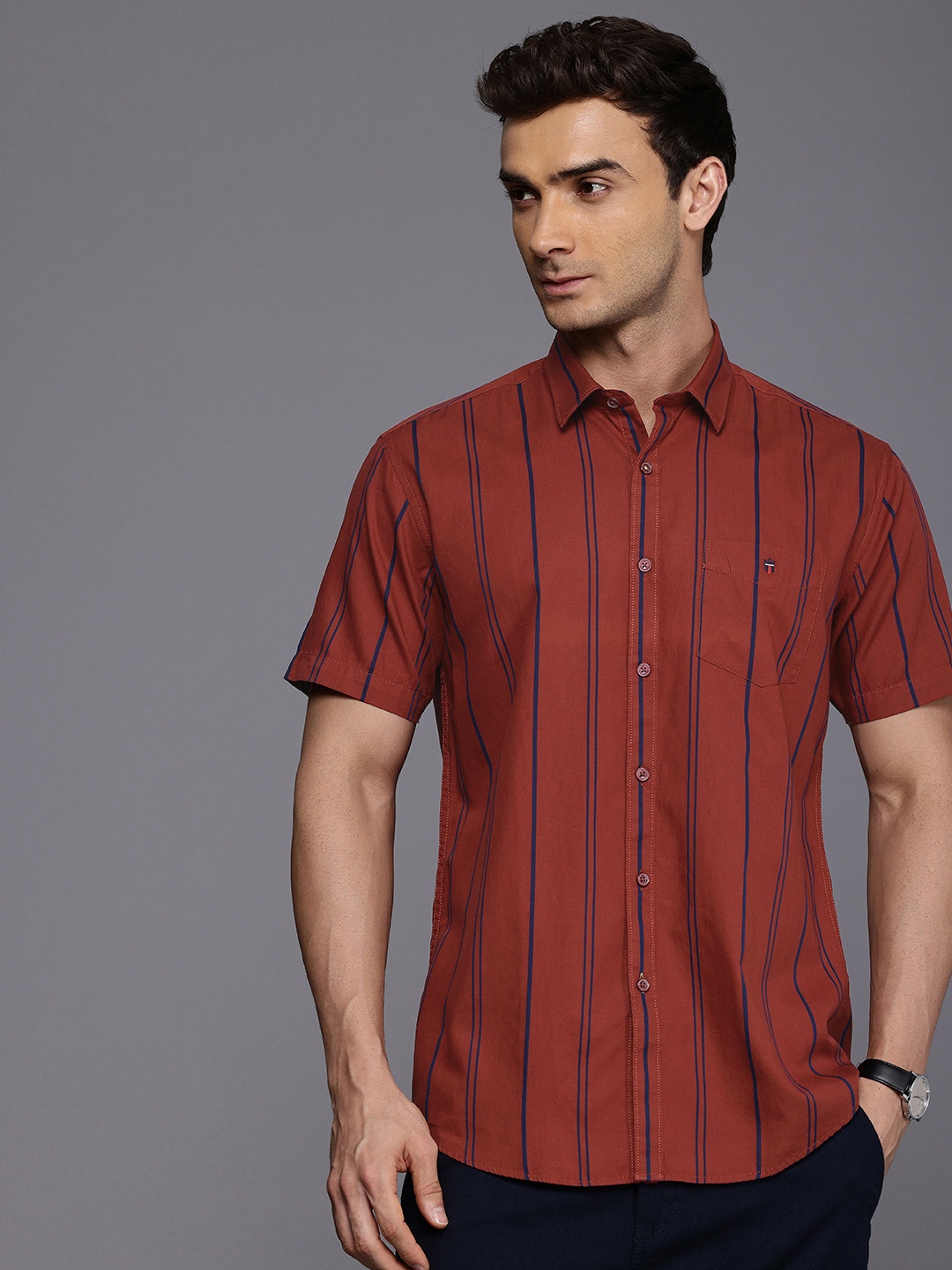 

Louis Philippe Sport Slim Fit Striped Pure Cotton Casual Shirt, Maroon