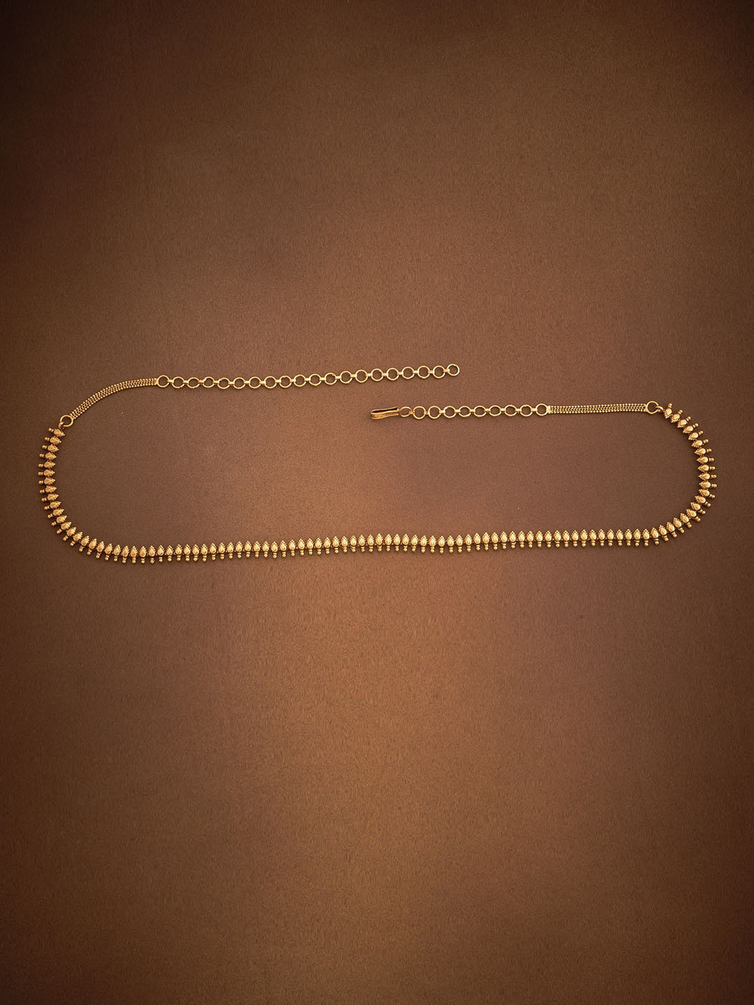 

Kushal's Fashion Jewellery Gold-Plated Waist Chain Saree Accessories