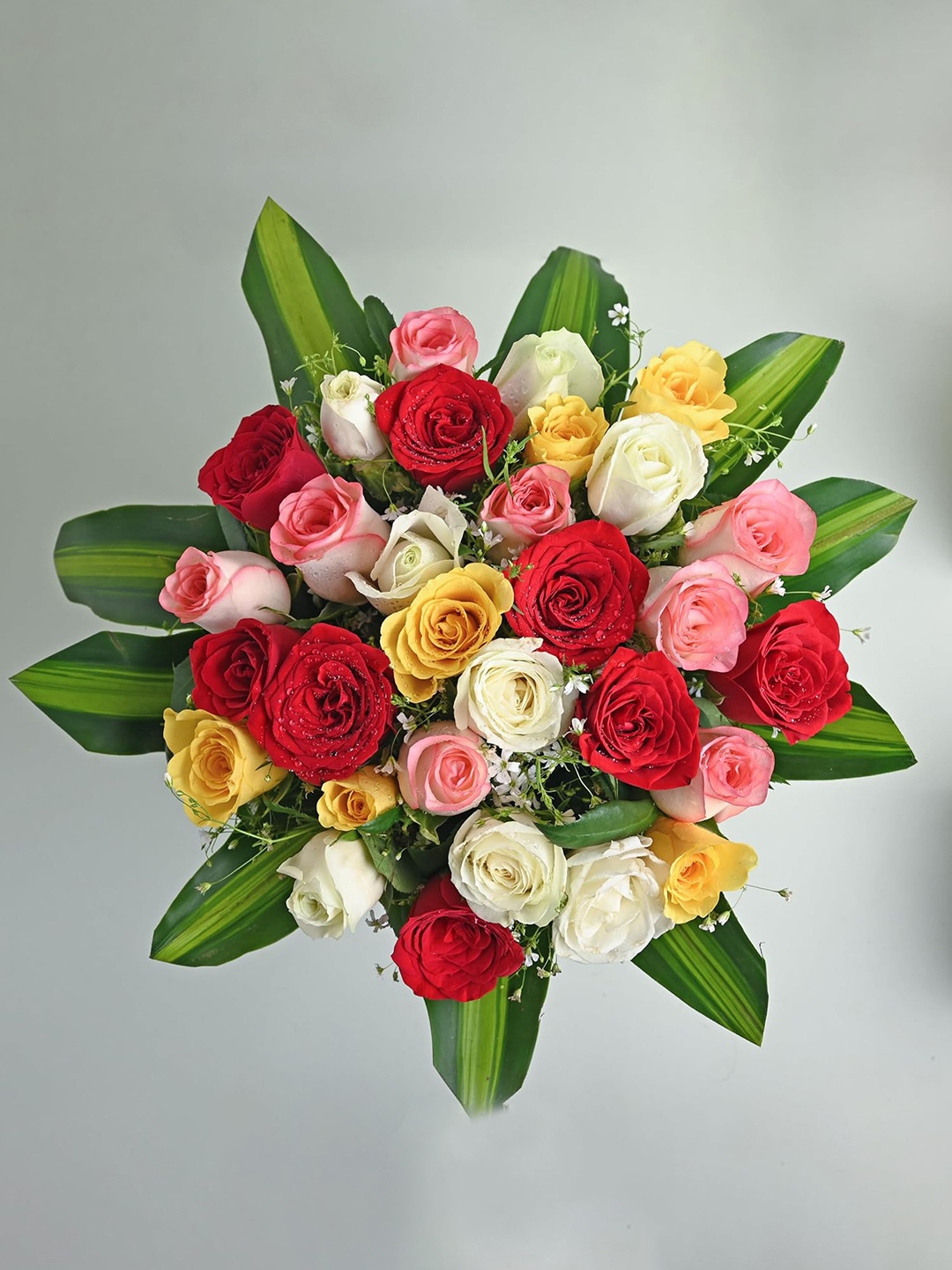 

Floweraura 30 Pieces Red & White Roses Fresh Flowers Bouquet