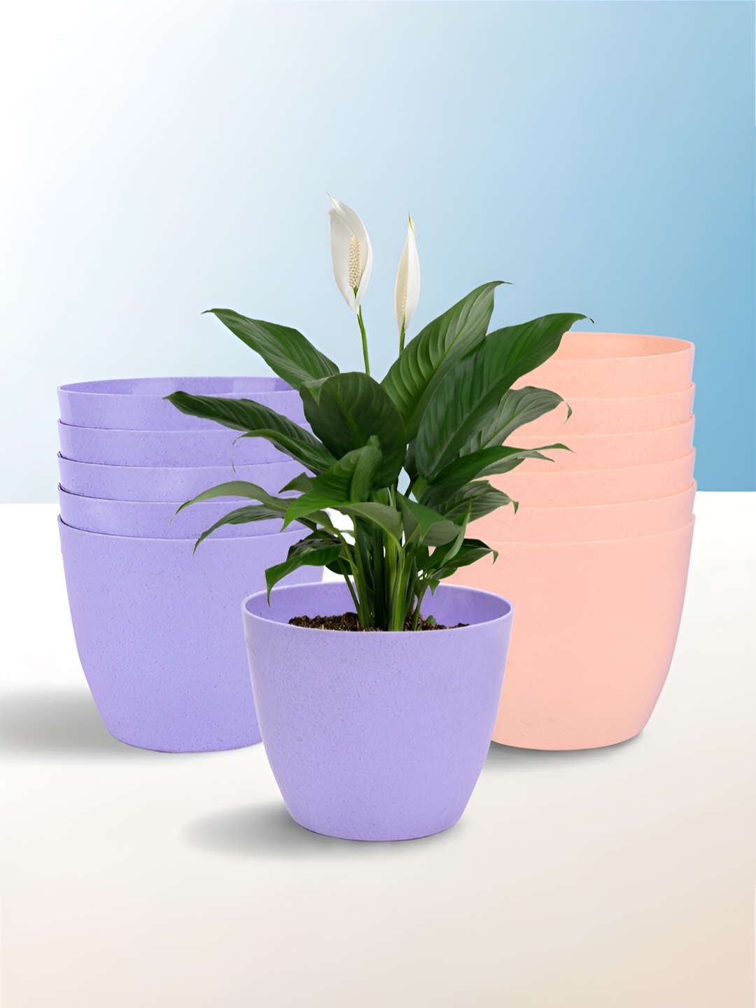 

Kuber Industries Purple & Peach 12 Pieces Marble Cool Planters