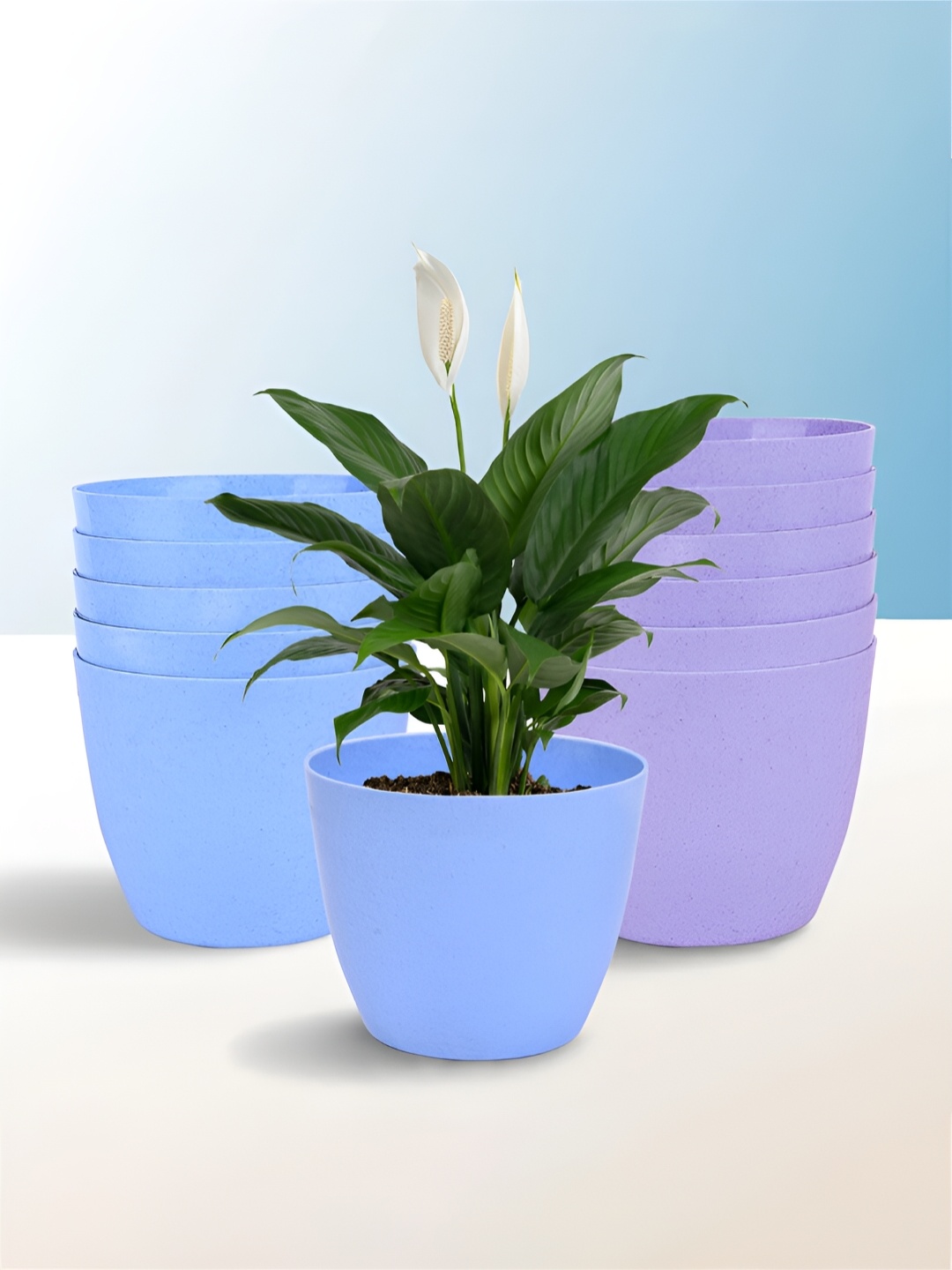 

Kuber Industries Blue & Purple 12 Pieces Lightweight Planters