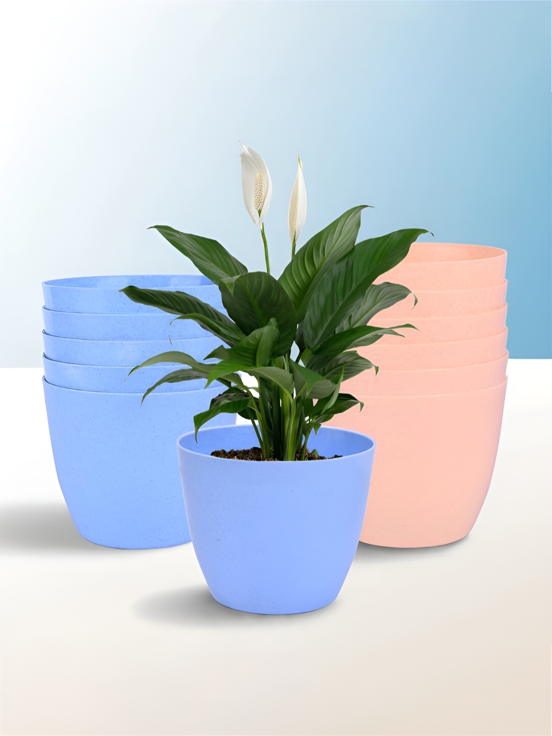 

Kuber Industries Blue & Peach 12 Pieces Lightweight Planters