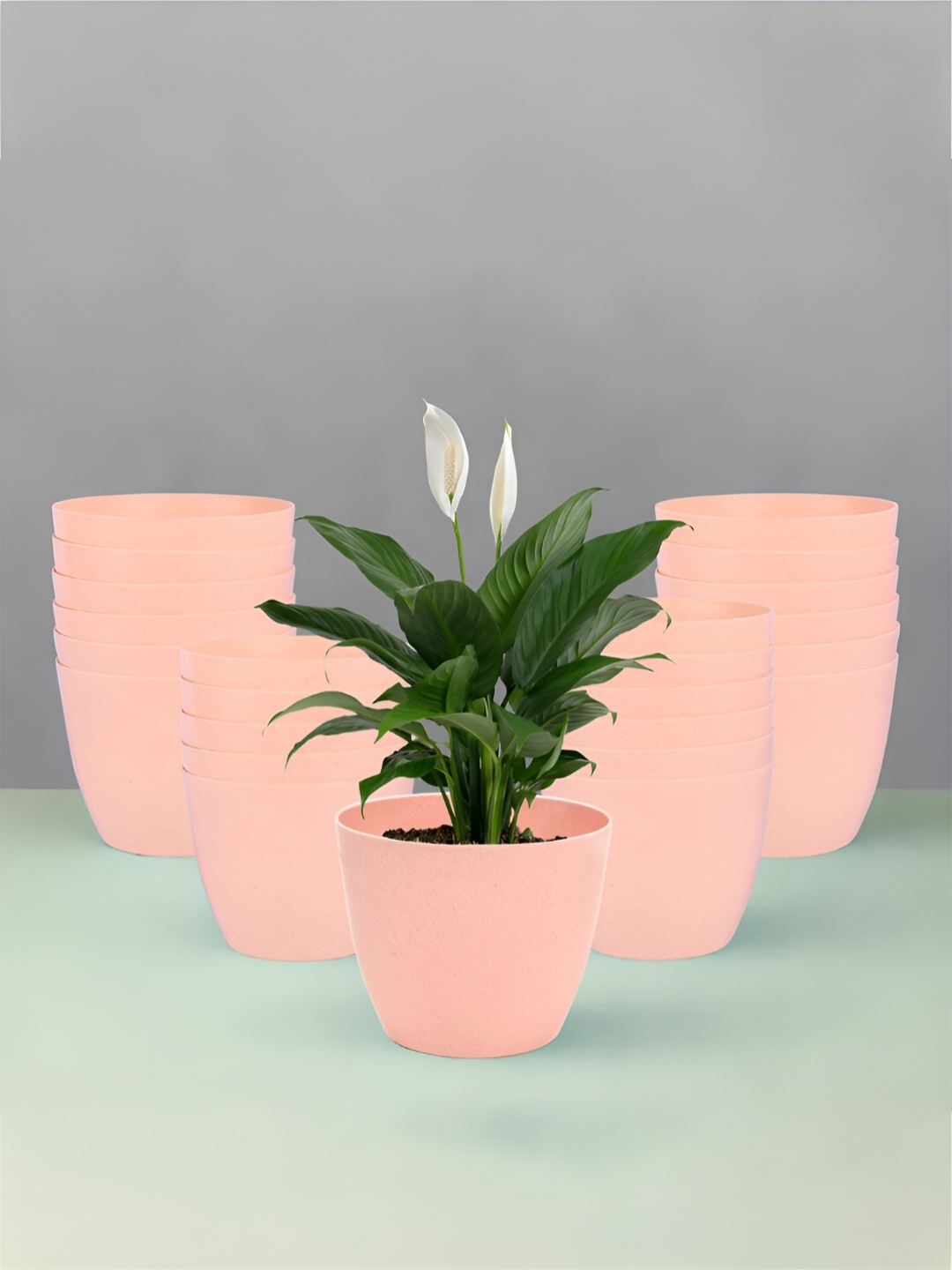 

Kuber Industries Peach 24 Pieces Lightweight Planters