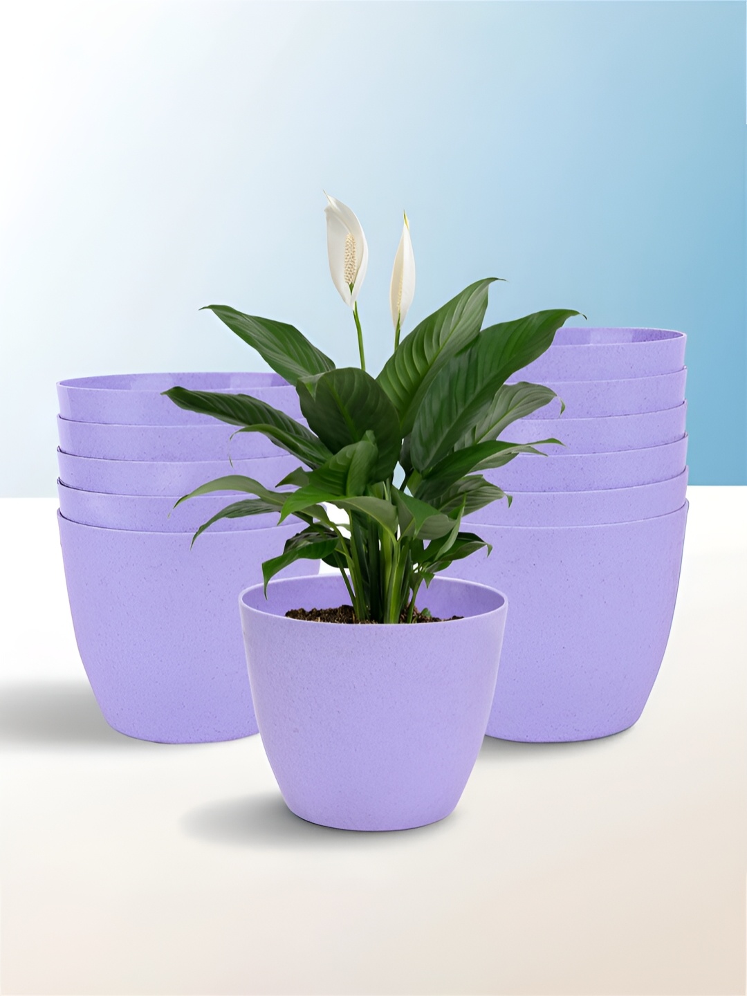 

Kuber Industries Purple 12 Pieces Lightweight Planters