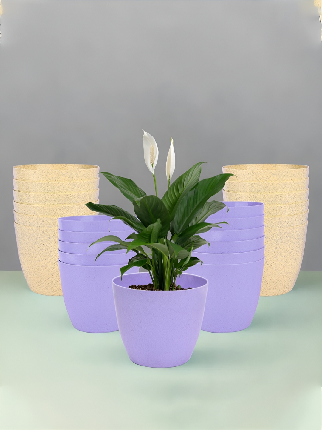 

Kuber Industries Purple & Beige 24 Pieces Lightweight Planters