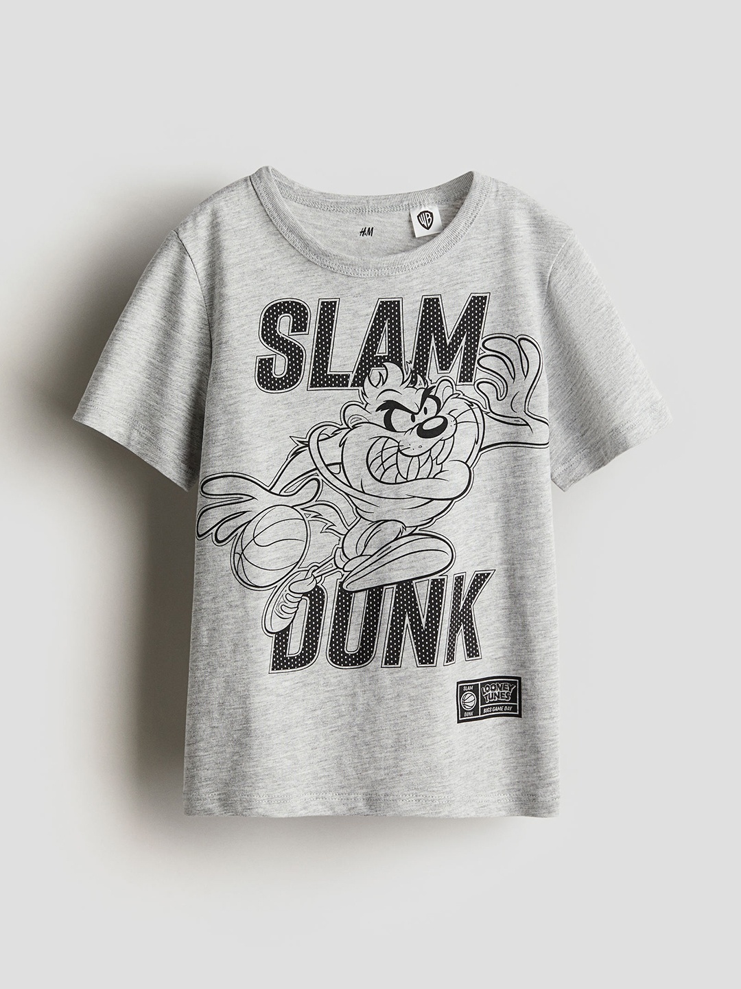 

H&M Boys Printed Cotton T-shirt, Grey