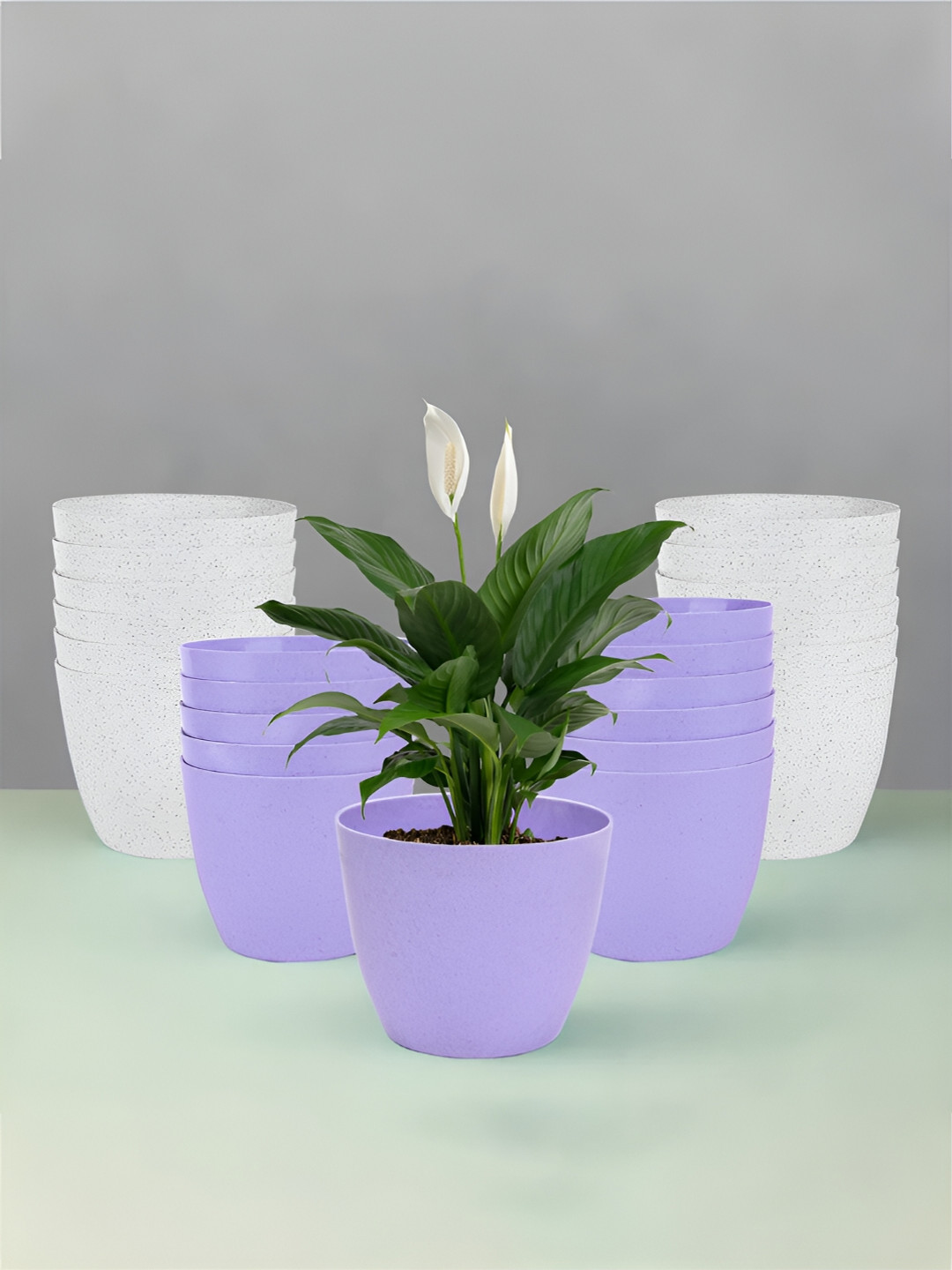 

Kuber Industries Marble Cool Purple & White 24 Pieces UV-Protected Planters