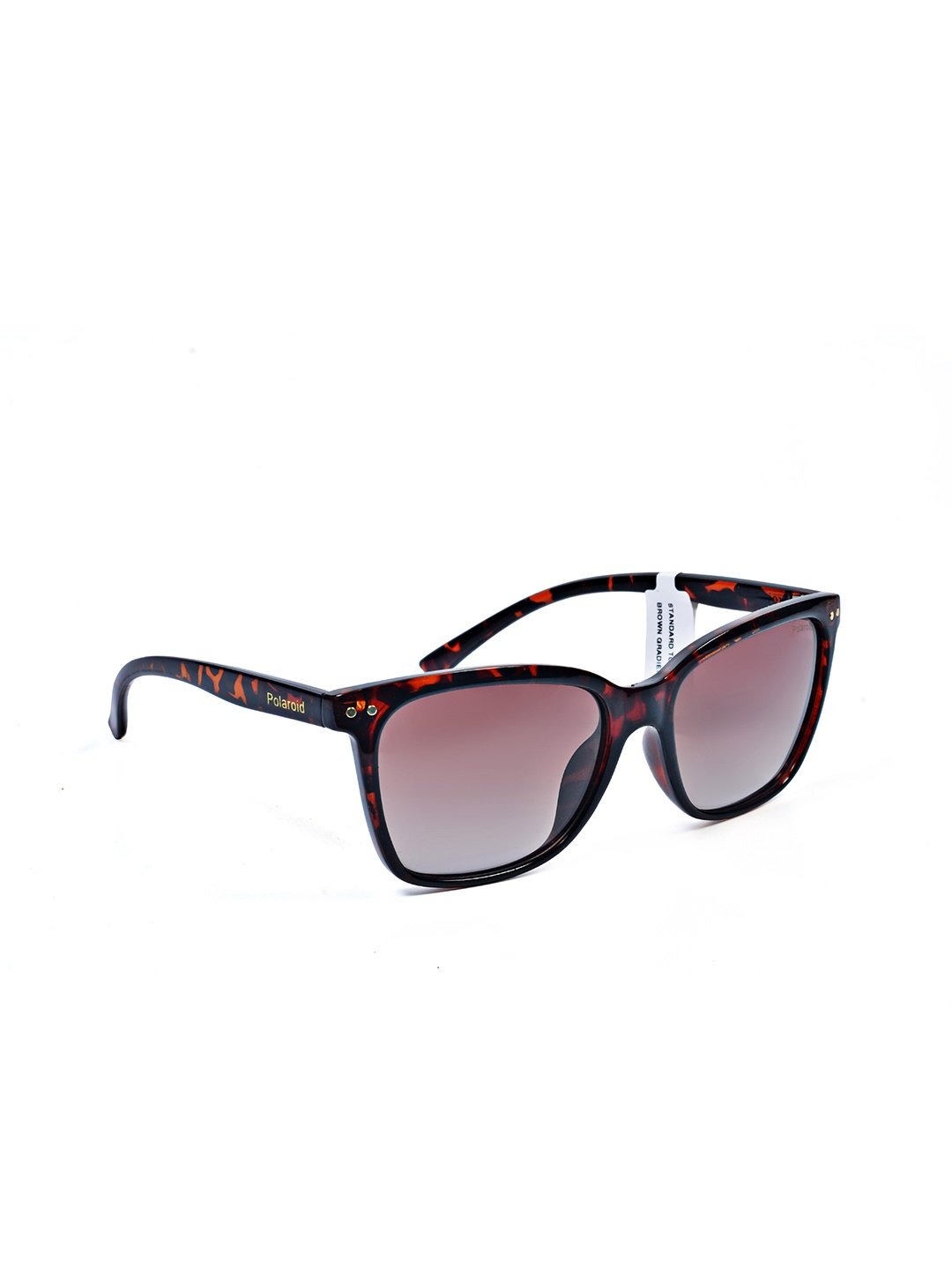 

Polaroid Outlook Women Cateye Sunglasses with UV Protected Lens-16426943319, Brown