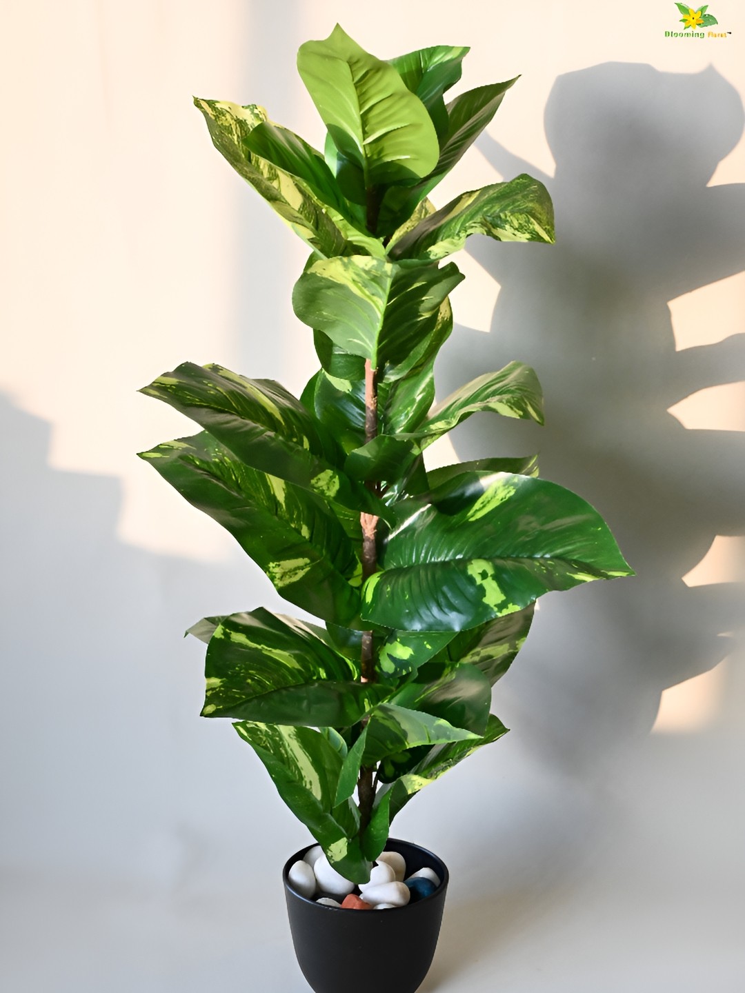 

Blooming Floret Green & Brown Dieffenbachia Artificial Plant With Pot