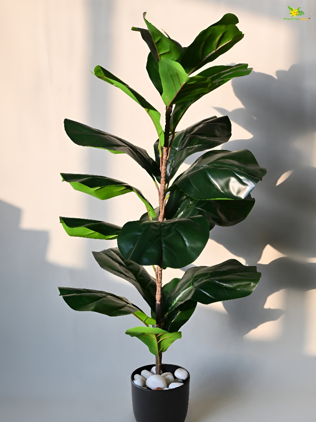 

Blooming Floret Green & Brown Artificial Plant With Pot
