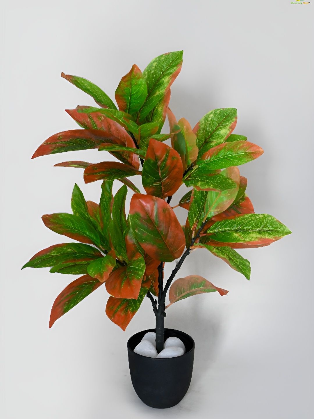 

Blooming Floret Green & Red Croton Artificial Plant With Pot