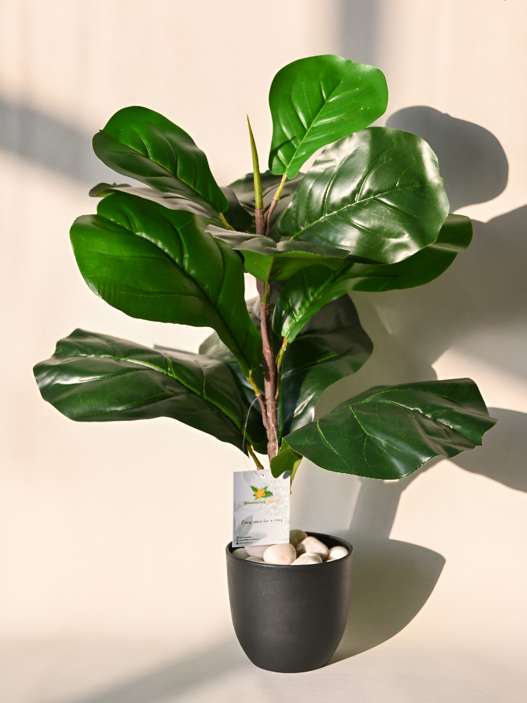 

Blooming Floret Green Fiddle Artificial Plant With Pot