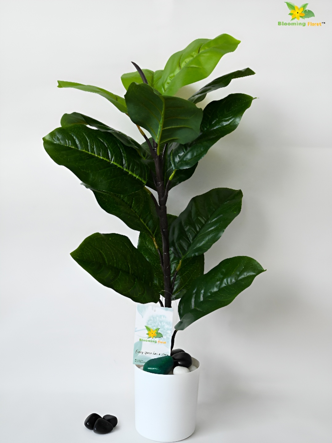 

Blooming Floret Green Banyan Artificial Plant With Pot