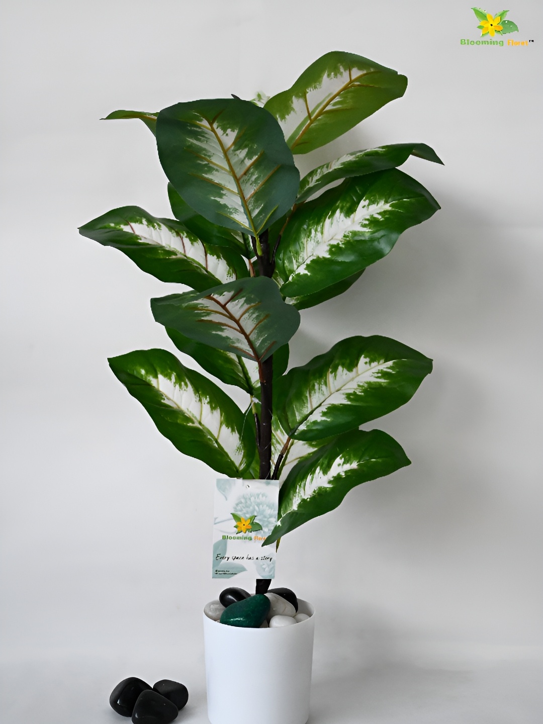 

Blooming Floret Green Artificial Diffenbachia Plant With Pot