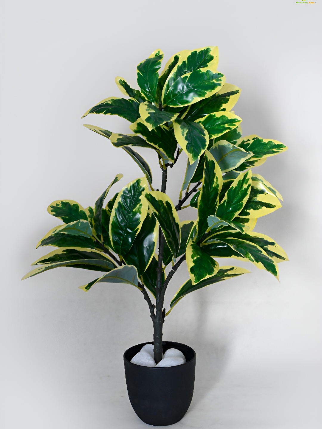 

Blooming Floret Green Pisonia Alba Artificial Plant With Pot
