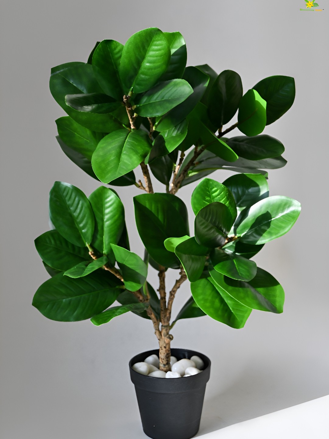 

Blooming Floret Green & Brown Artificial Plant With Pot