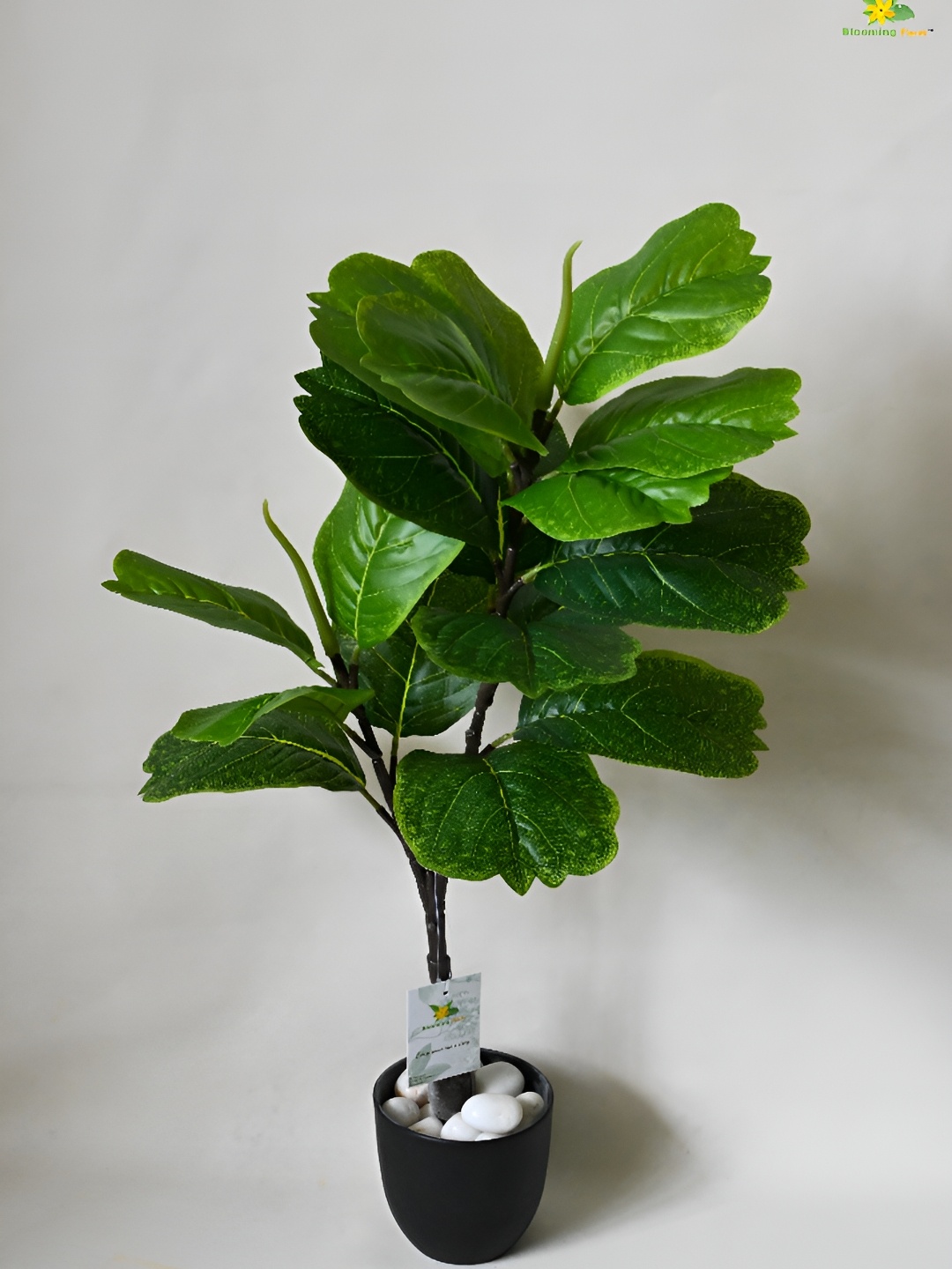 

Blooming Floret Green Artificial Plant With Pot