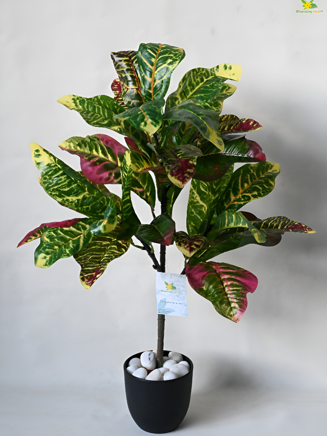 

Blooming Floret Green Garden Croton Artificial Plant With Pot
