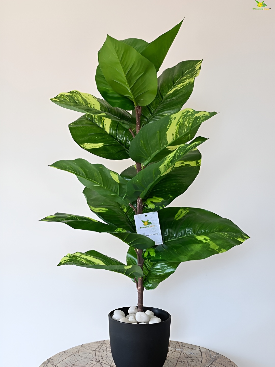 

Blooming Floret Green Diffenbachia Artificial Plant With Pot